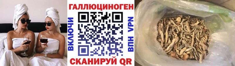 купить наркотики сайты  Щёлково  Псилоцибиновые грибы Psilocybe 